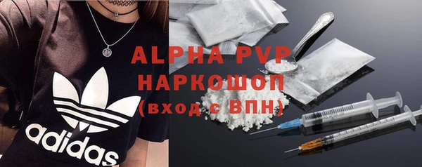 СК Магадан