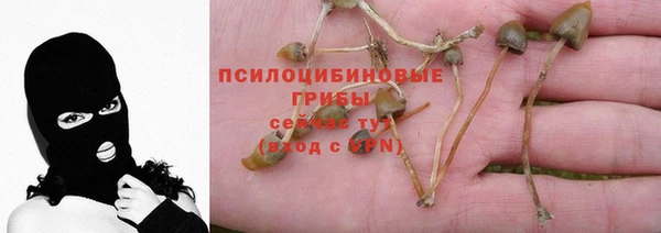 стаф Майский