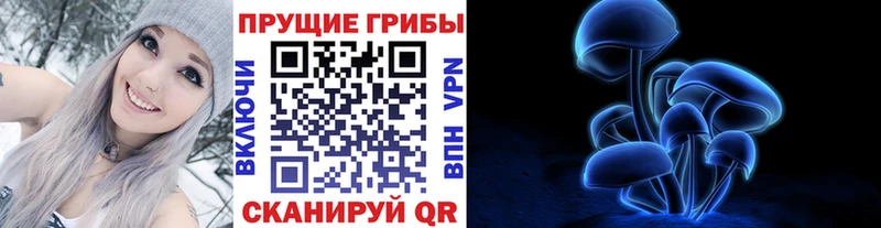 где можно купить наркотик  Облучье  Галлюциногенные грибы Cubensis 